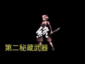 戦国無双 くのいち 第二秘蔵武器【PS2】