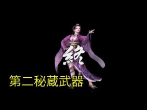 戦国無双 濃姫 第二秘蔵武器【PS2】