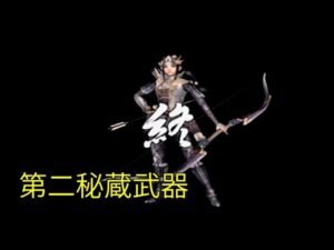 戦国無双 稲姫 第二秘蔵武器【PS2】