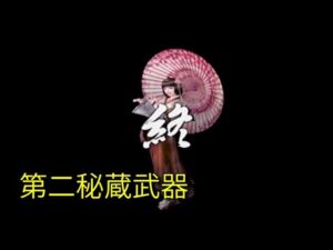 戦国無双 阿国 第二秘蔵武器【PS2】