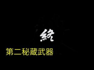 戦国無双 新武将（槍） 第二秘蔵武器【PS2】