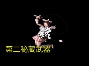 戦国無双 お市 第二秘蔵武器【PS2】