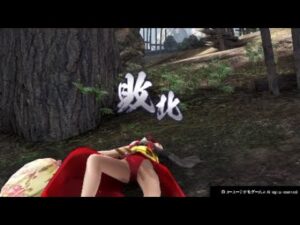 戦国無双4DX 阿国おぱんつリョナ♪9