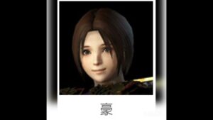 戦国無双4 Empires お気に入りの姫武将